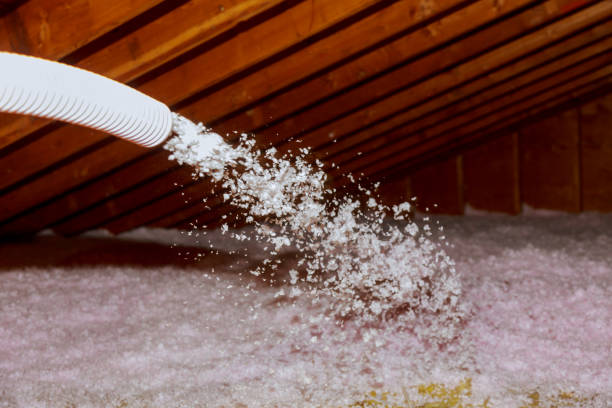 Best Insulation Maintenance and Repair in Jackson, CA