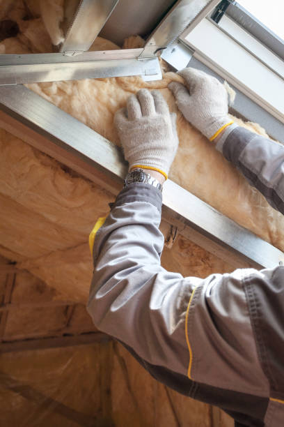Best Specialty Insulation in Jackson, CA